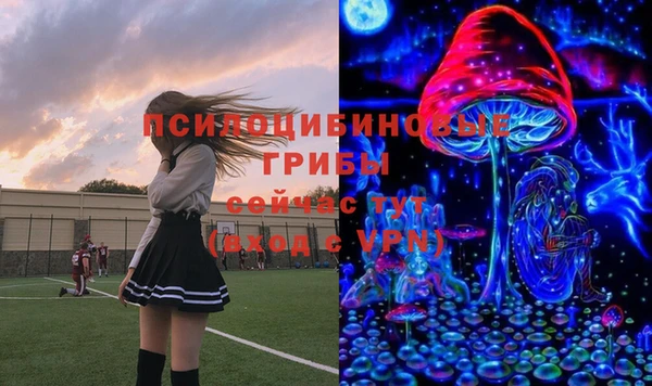 дживик Баксан
