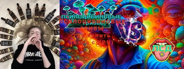 дживик Баксан