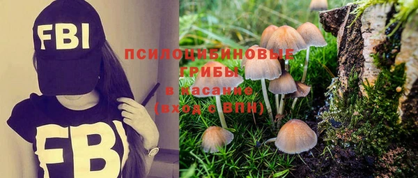 дживик Баксан