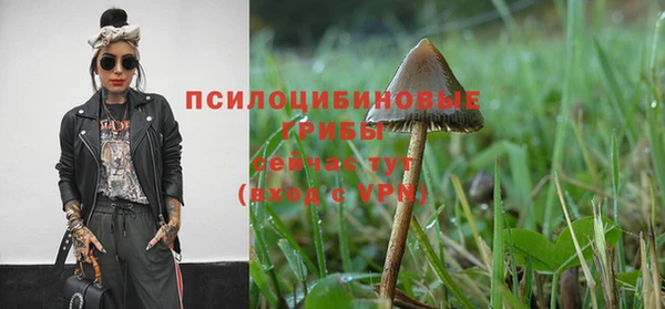 тгк Балабаново