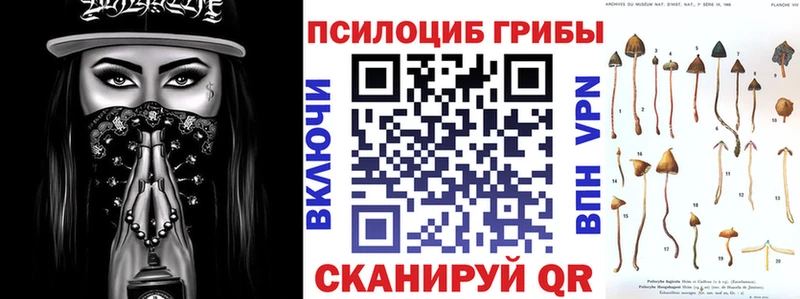 Псилоцибиновые грибы мухоморы  купить наркоту  Тотьма 