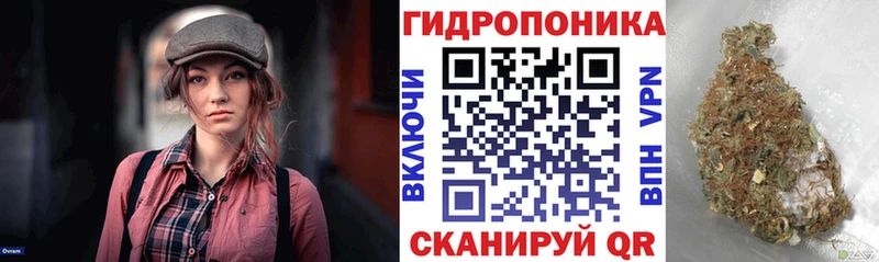 Шишки марихуана индика Тотьма